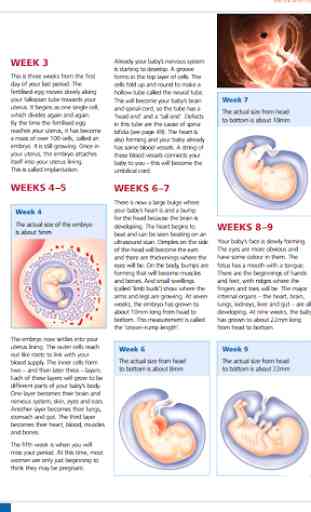 Pregnancy Guide 3