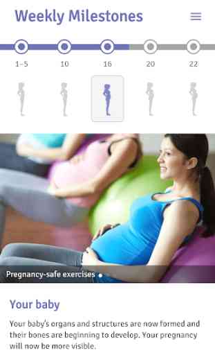 Pregnancy Pelvic Floor Plan 3