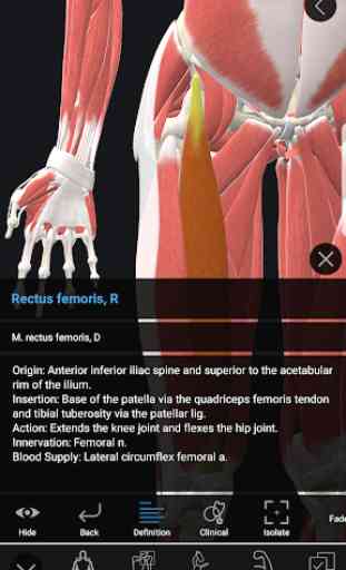 3D Organon Anatomy | Enterprise edition 4