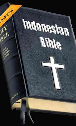 Alkitab Indonesia 1