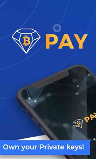 BCD Pay 1
