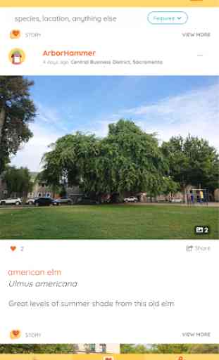 Curio-xyz : community & trees 1