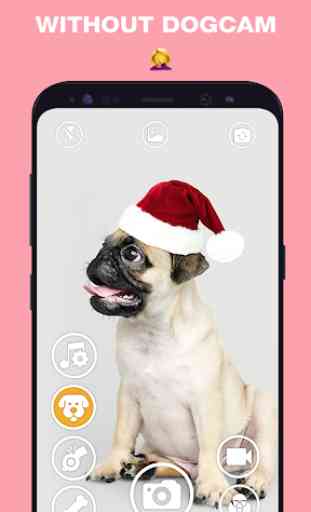 DogCam - Dog Selfie Filters and Camera 1