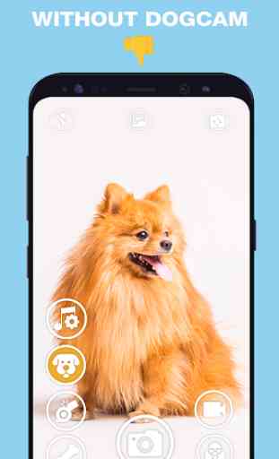 DogCam - Dog Selfie Filters and Camera 3