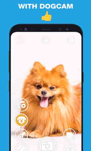 DogCam - Dog Selfie Filters and Camera 4