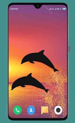 Dolphin Wallpaper HD 1