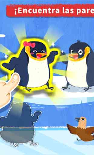 El Recorrido de los Pingüinos del Pequeño Panda 3