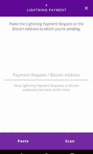 Lightning: Fast Bitcoin Wallet 2