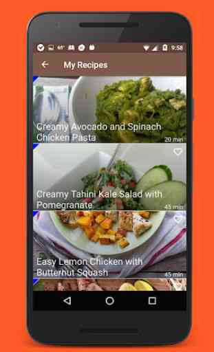 Paleo Diet CookBook & Recipes 4