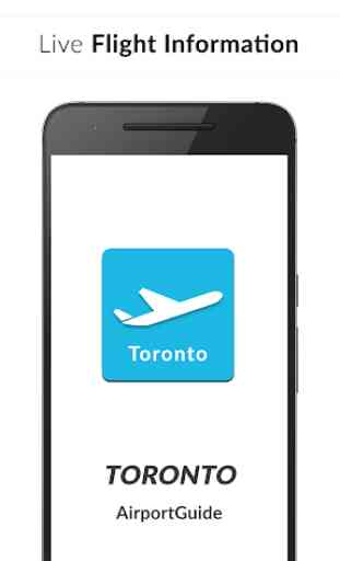 Toronto Pearson Airport - Flight information YYZ 1