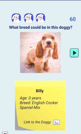 Adopt a Doggy Quiz - con perros del refugio 2