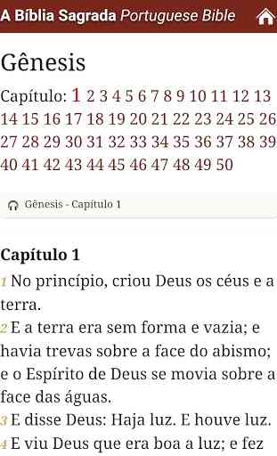Bíblia Sagrada em Português 2