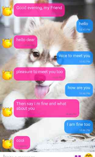 Buddy Messenger - English conversation chatbot 2