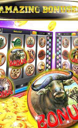 Buffalo Slot Machine Las Vegas 3