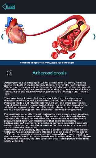 Circulatory System Anatomy 4