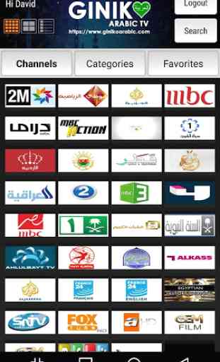 Giniko Arabic TV for Android TV 2