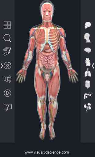 Human Anatomy Pro 2