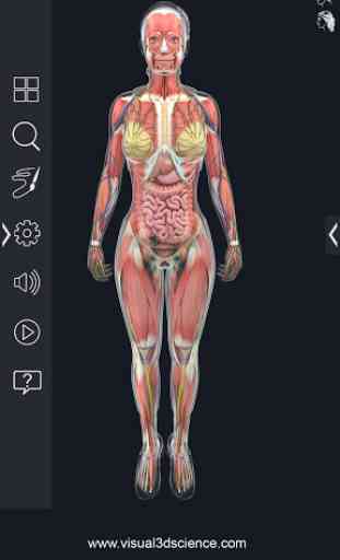 Human Anatomy Pro 3