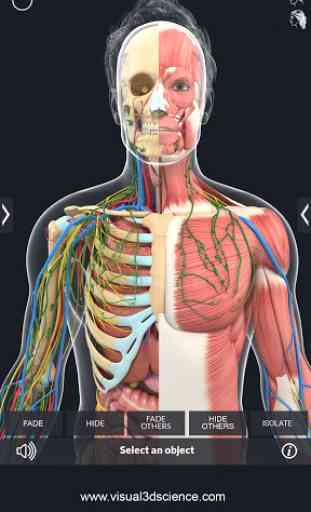 Human Anatomy Pro 4