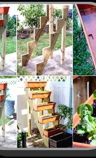 Ideas del jardín vegetal 1