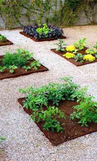 Ideas del jardín vegetal 4