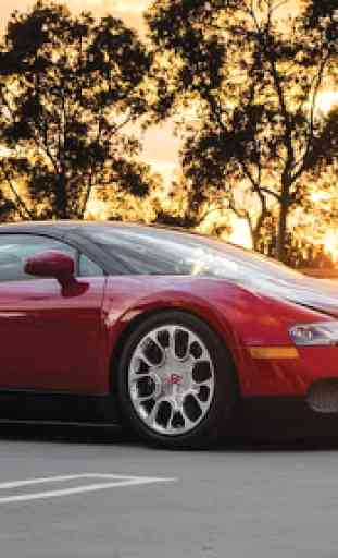 Supercars Bugatti Veyron Wallpaper 3