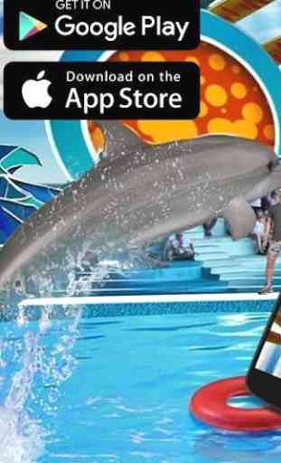 Dolphin Show Fun Free 1