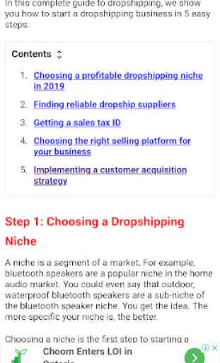 Dropshipping Guide for Beginners 2
