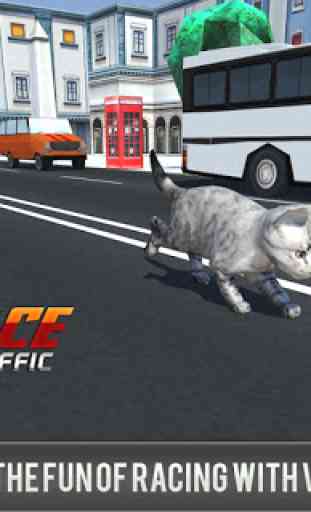 Kitty Cat Rush 3D Juego 2