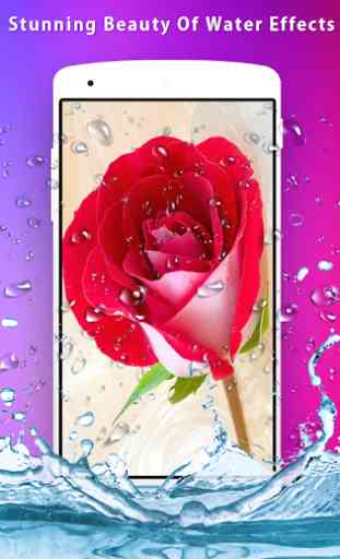 3D Rose Live Wallpaper 3