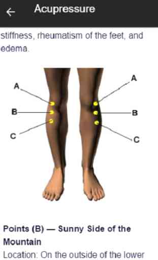 Knee Pain Protocols 4