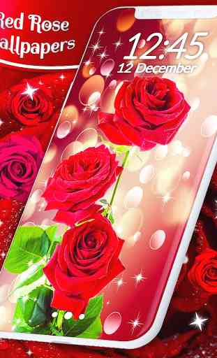 Red Rose Live Wallpaper  1