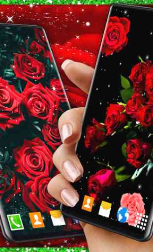 Red Rose Live Wallpaper  2