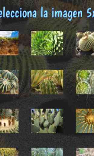 Rompecabezas · Cactus 1