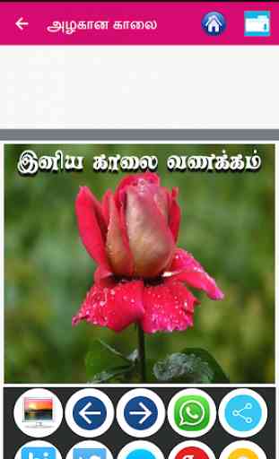 Tamil Good Morning Images 3