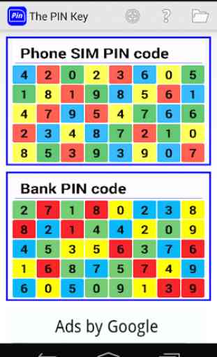 The PIN Key 1