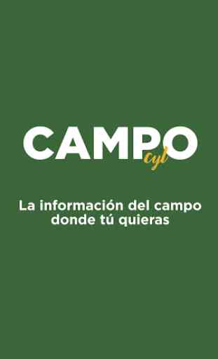 Campo CyL 1