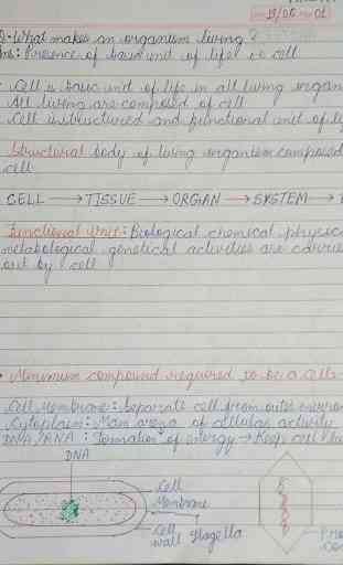 Cell Biology Notes 1