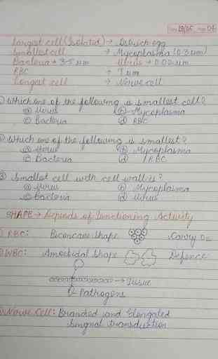 Cell Biology Notes 4