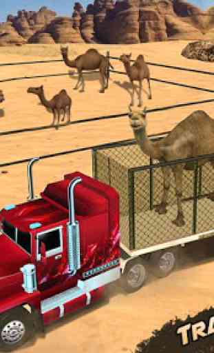 Desierto camello camión transporte 3
