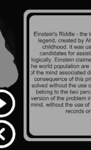 Einstein's riddles 4