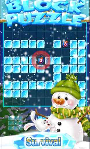 New Ice Block Puzzle Game 2020 3