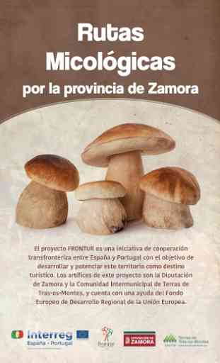 Rutas micológicas en Zamora 1