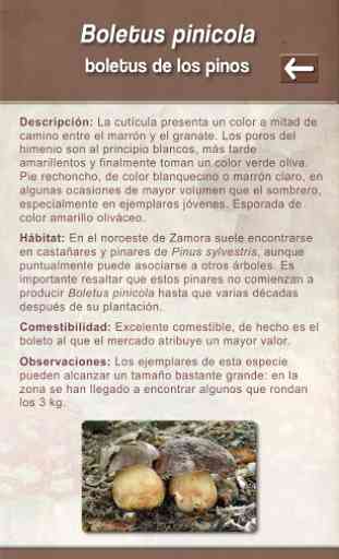 Rutas micológicas en Zamora 4