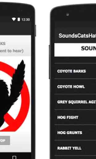 Sounds Cats Hate - Cat Repellent Sound 3