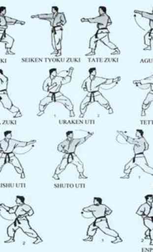 técnica de karate artes marciales 1