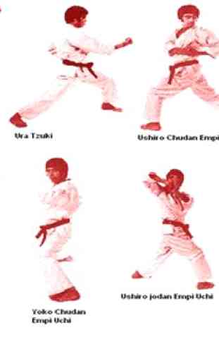 técnica de karate artes marciales 2