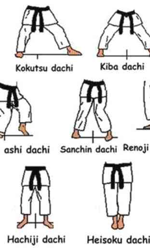 técnica de karate artes marciales 3