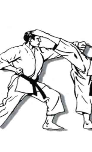 técnica de karate artes marciales 4