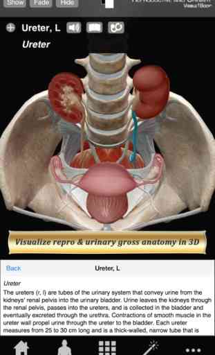 Reproductive and Urinary Anatomy Atlas: Essential Reference for Students and Healthcare Professionals 1